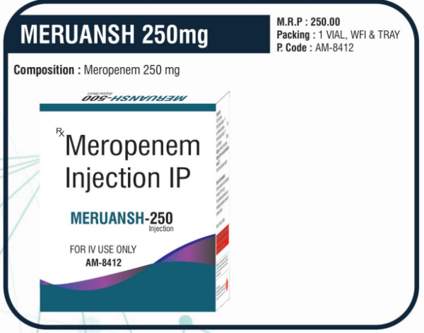 MERUANSH-250mg (Meropenem 250 mg)